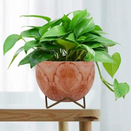 Coral Marble Finish Ceramic Planter with Stand