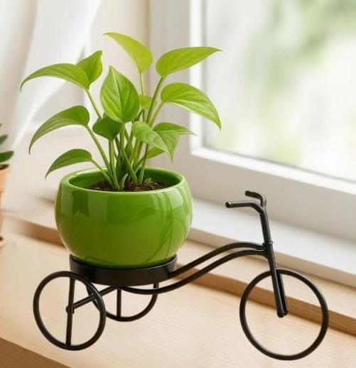 Cycle Bloom Metal Pot